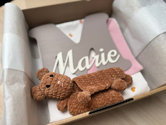 Willkommens-Baby-Geschenkbox
